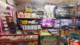 باغ پرندگان توحیدی