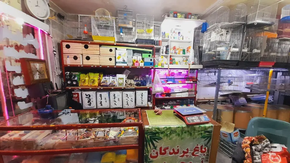 باغ پرندگان توحیدی