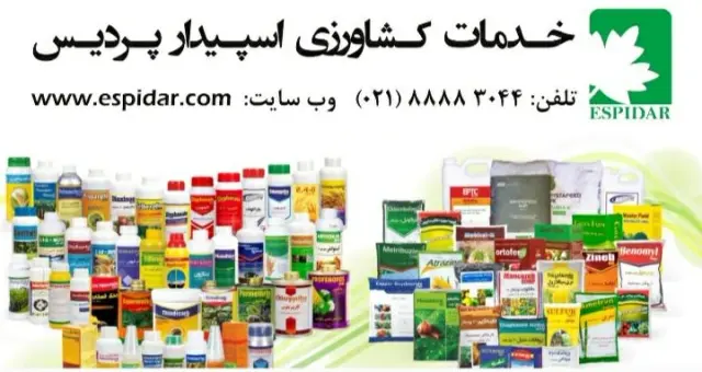 شرکت اسپیدار پردیس