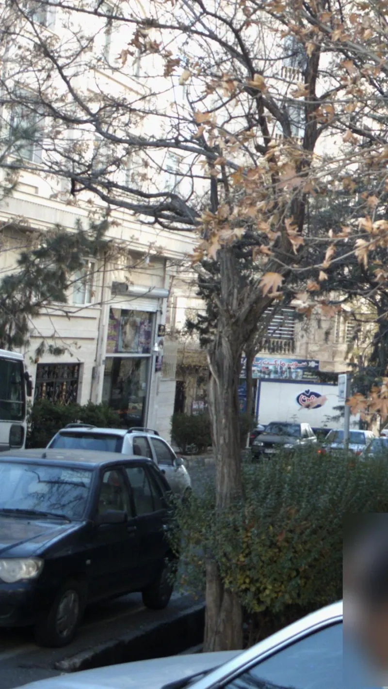 پیرایش چهره نما