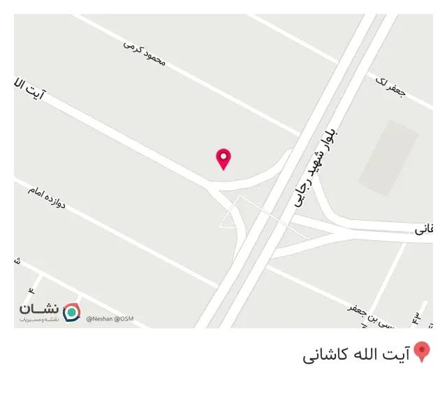 پیتزا عارف