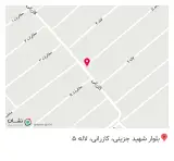 خشکشویی اکسپرس با سرویس