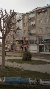 لبنیات محلی بابابزرگ