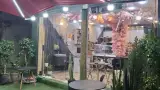 صبحانه خوری کافه سیرمونی