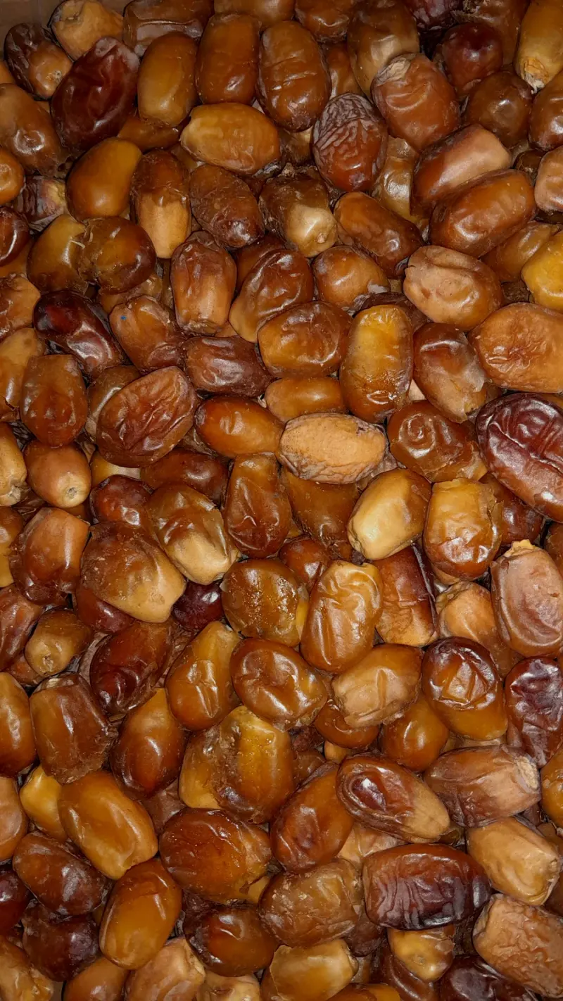 پخش فروغ تابان