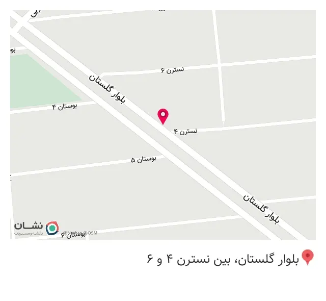 گاز پیک نیک و کپسول