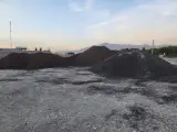 پوکه فروشی رضی آبادبالا