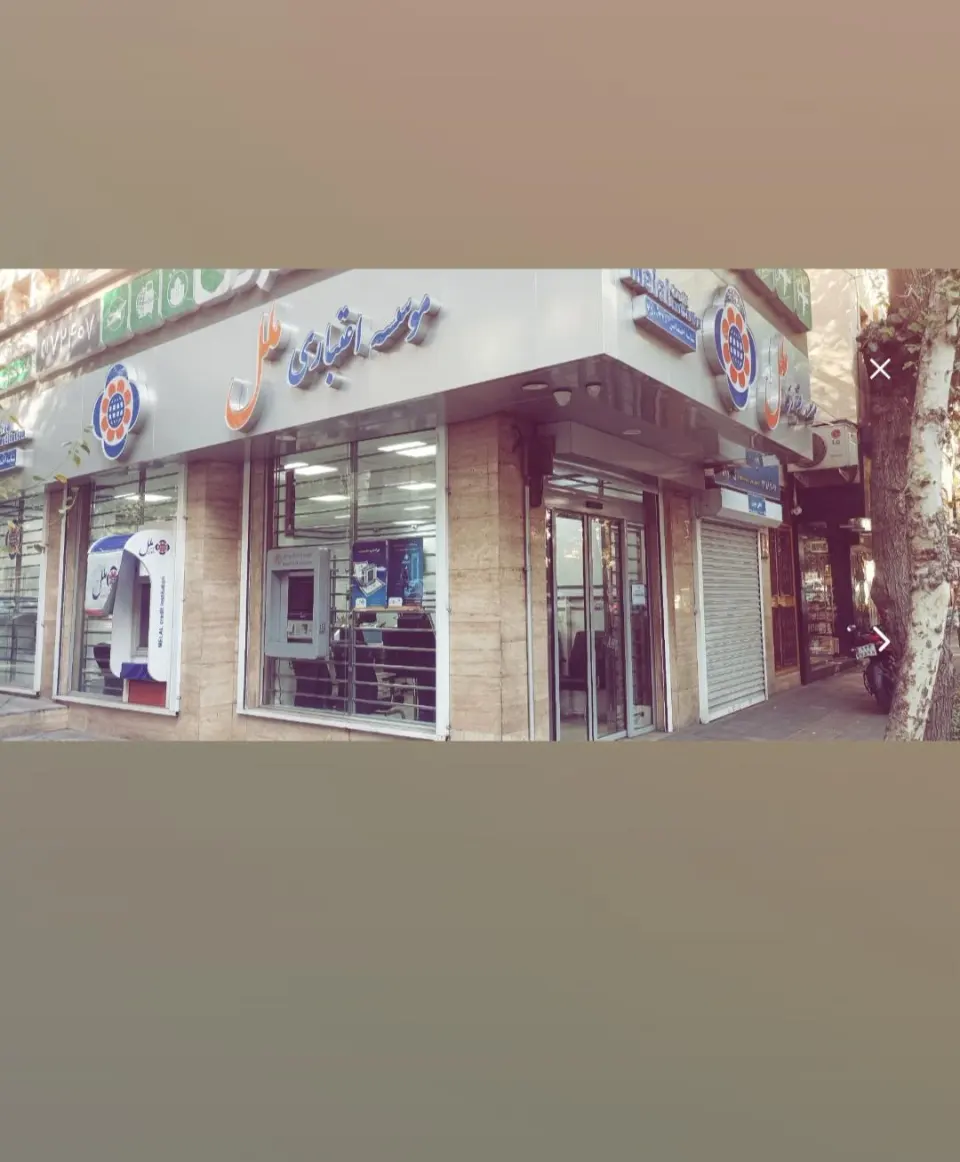موسسه اعتباری ملل