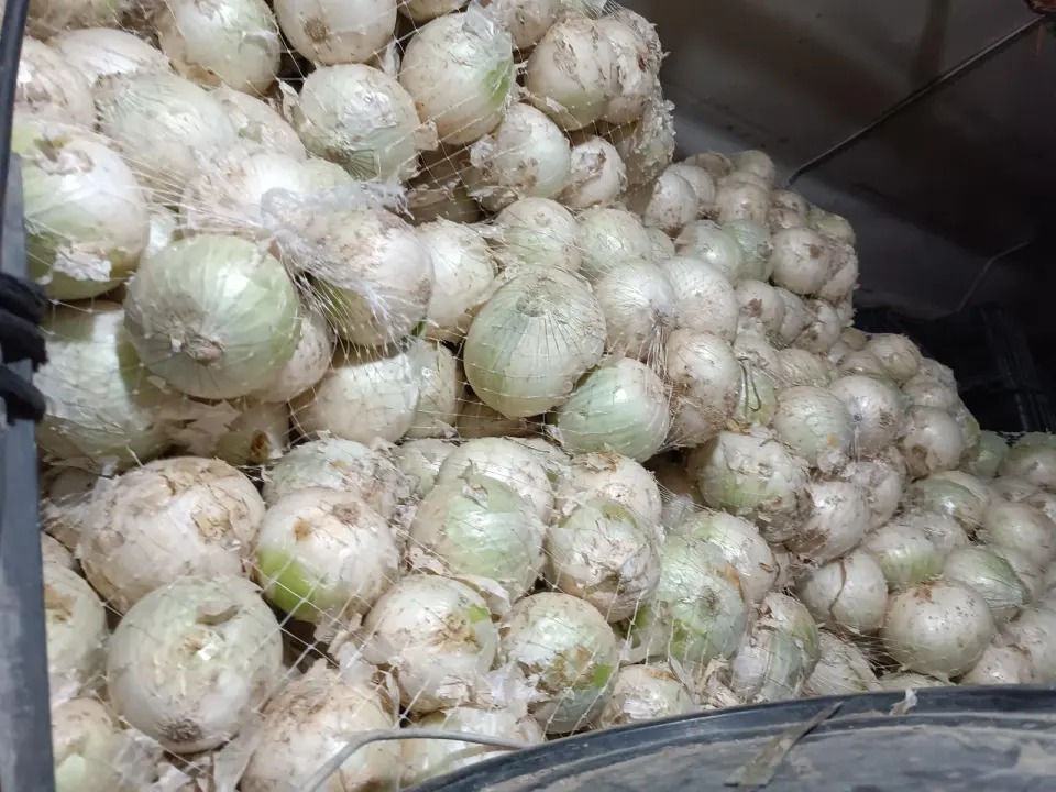 پخش عمده گوشت گرم ومنجمد جهانگیر