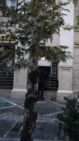 بانک ملی