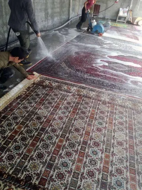 قالیشویی تلخون
