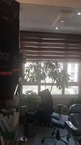 مطب دکتر ملازم در دریا