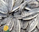 پخش عمده تخمه امیر