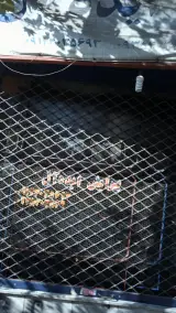 پیرایش ایده آل