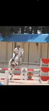 سوارکاری دهقان