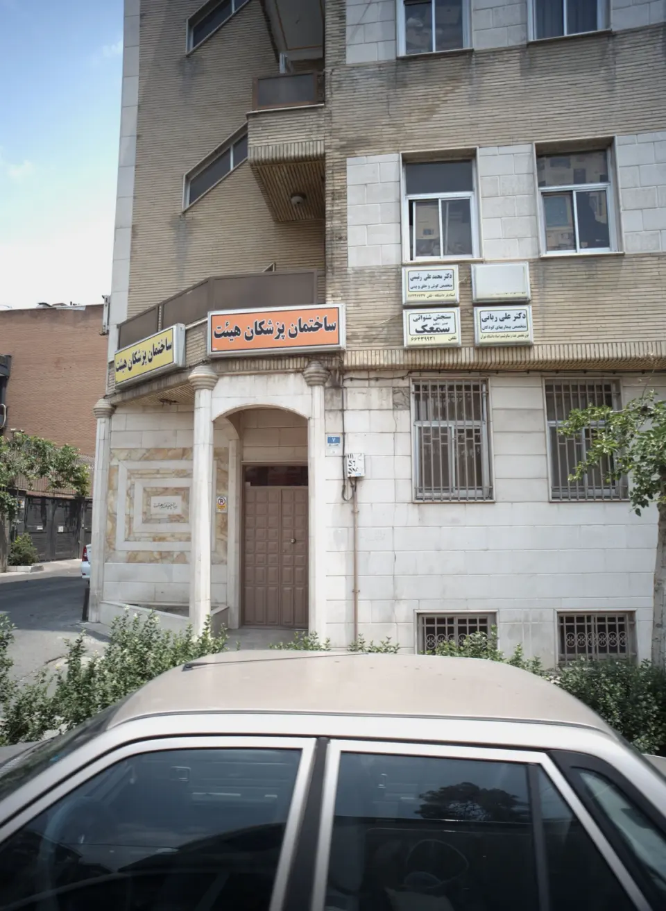 دکتر علی ربانی