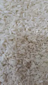 برنج خان عمو