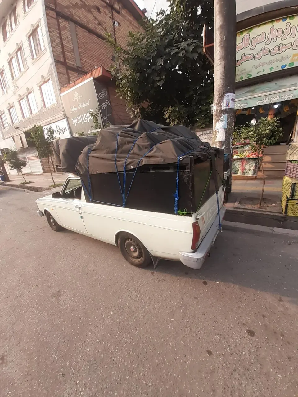 سوپر میوه شیخ قطب