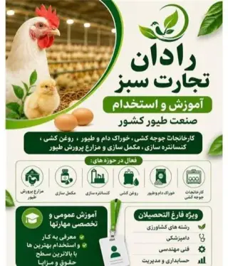 رادان تجارت سبز آموزش و استخدام صنعت طیور کشور