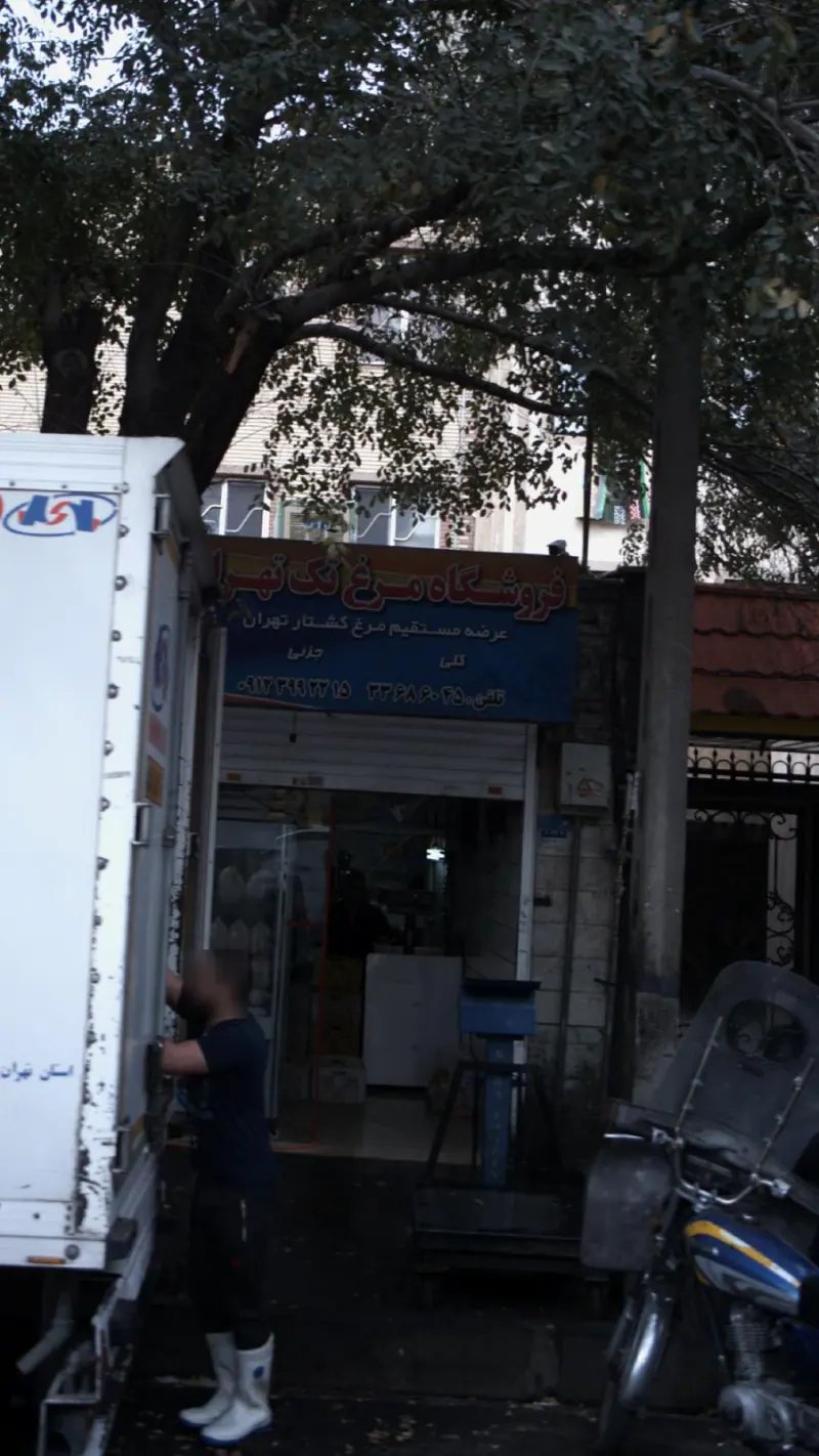 فروشگاه مرغ تک تهران