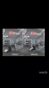 شقایق