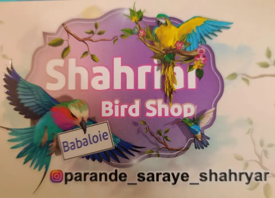 پرنده فروشی وانواع تجهیزات ودان