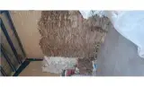 مرکز پخش انواع گونی کنفی و کیسه پلاستیکی