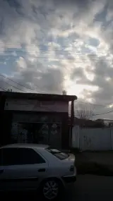 سایپا یدک نیک نژاد