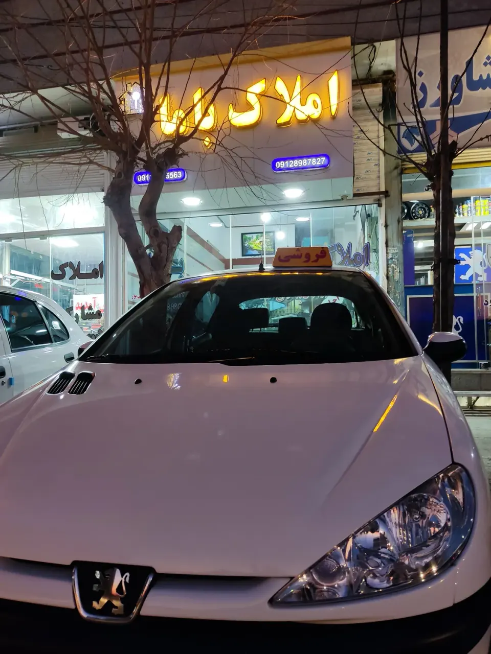 مشاور املاک باما