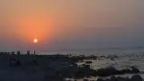 لبنیات مازیچال