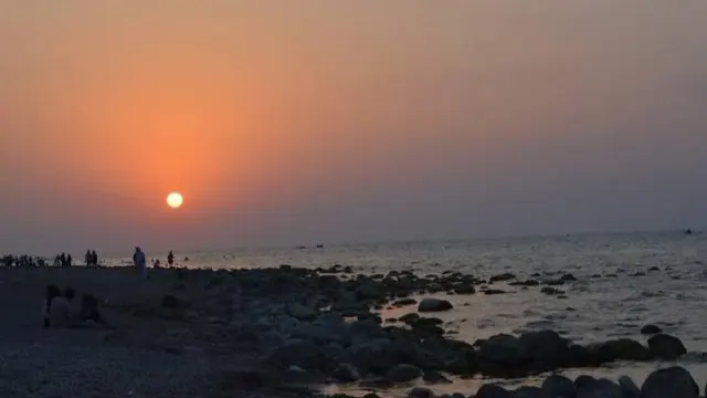 لبنیات مازیچال
