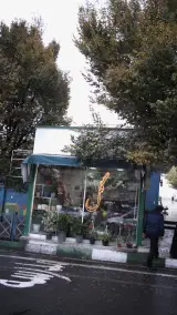 دکه گل فروشی آبان