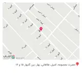 الکترو تسلا