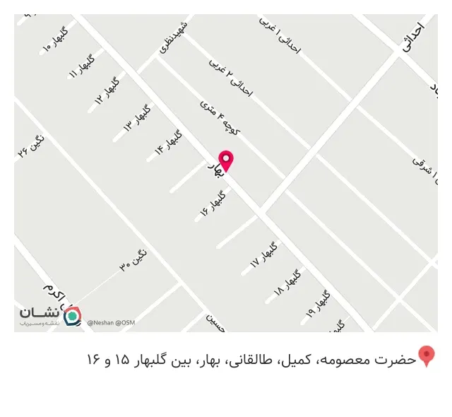 الکترو تسلا