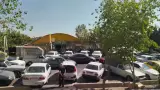 فاز باغچه ای بازار گل وگیاه غرب تهران
