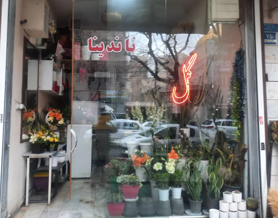 گل ناندینا