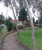 رستوران شیلات