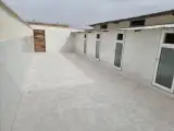 مرکز نگهداری و آموزش سگ