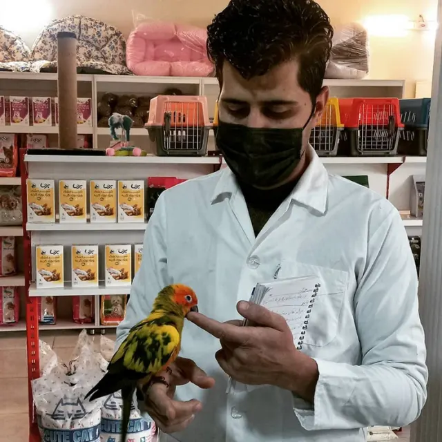 دامپزشکی حیوانات خانگی و پرندگان زینتی دکتر معصومی