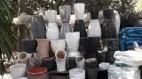 گل فروشی بهرامی