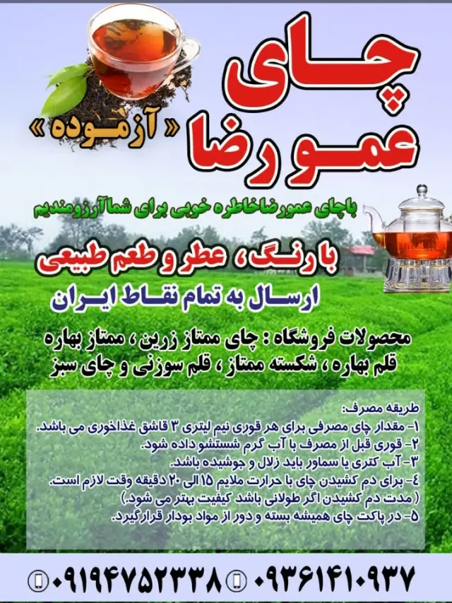 محصولات شمال عمو رضا