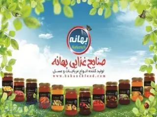 صنایع غذایی مهران