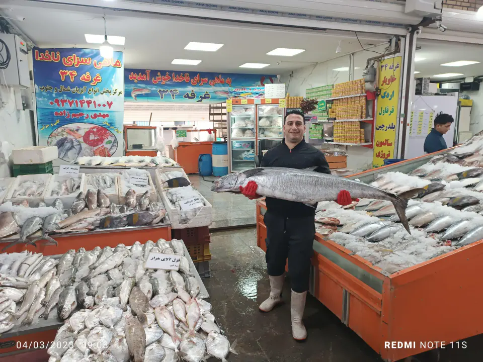 ماهی سرای ناخدا
