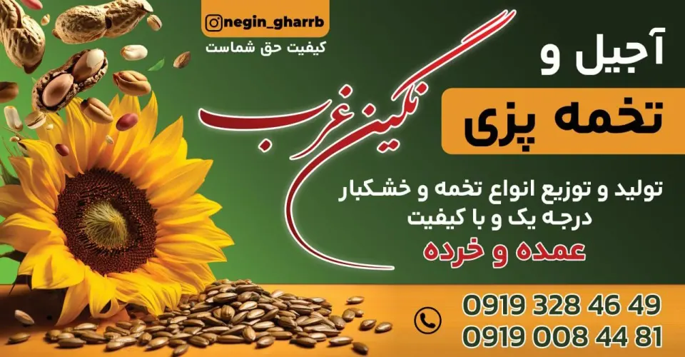 خشکبار و تخمه پزی نگین غرب