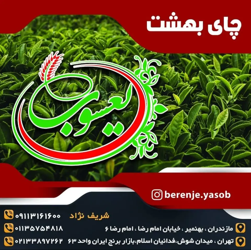 بورس برنج یعسوب