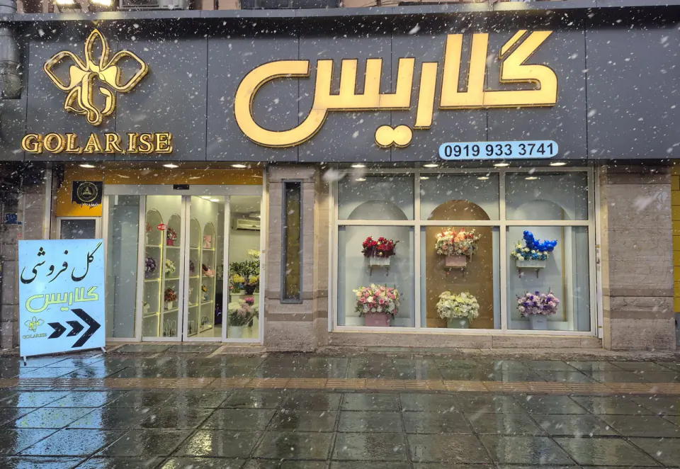 گلفروشی گلاریس