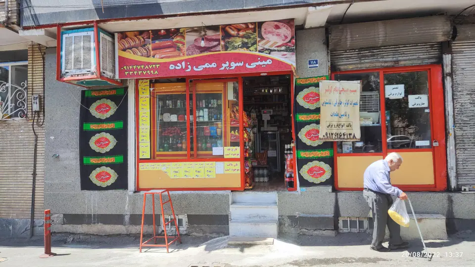 پروتئین ممی زاده
