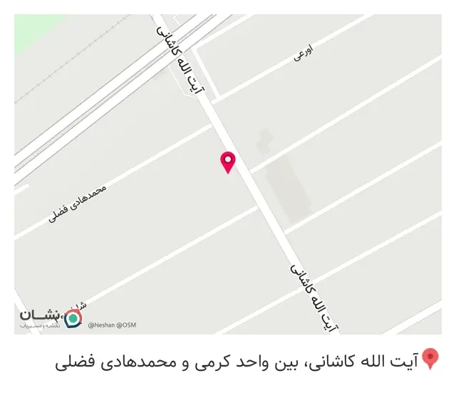 تهیه غذای لاهیجان