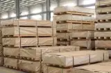 باغ تالار حاج حسن باقرزاده