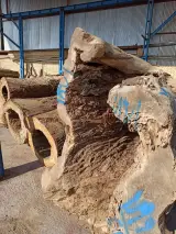 شرکت صبا چوب